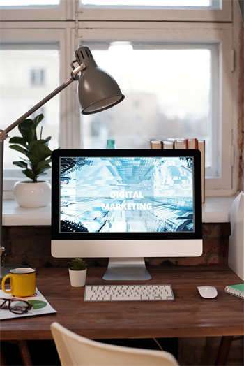 天涯社区风波:苏长华的家庭故事 第1张 天涯社区风波:苏长华的家庭故事 第1张
